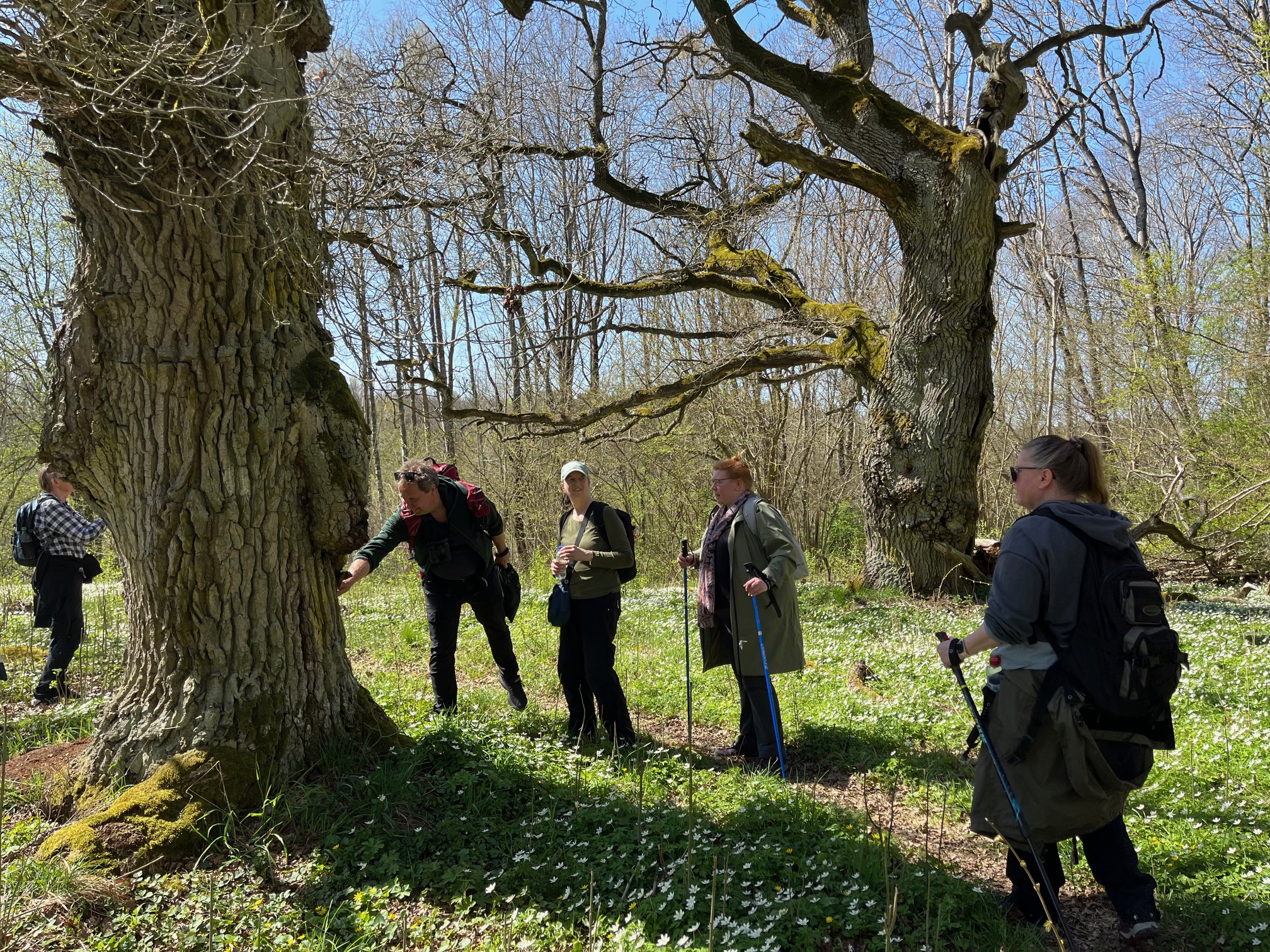 A group of people around a tree