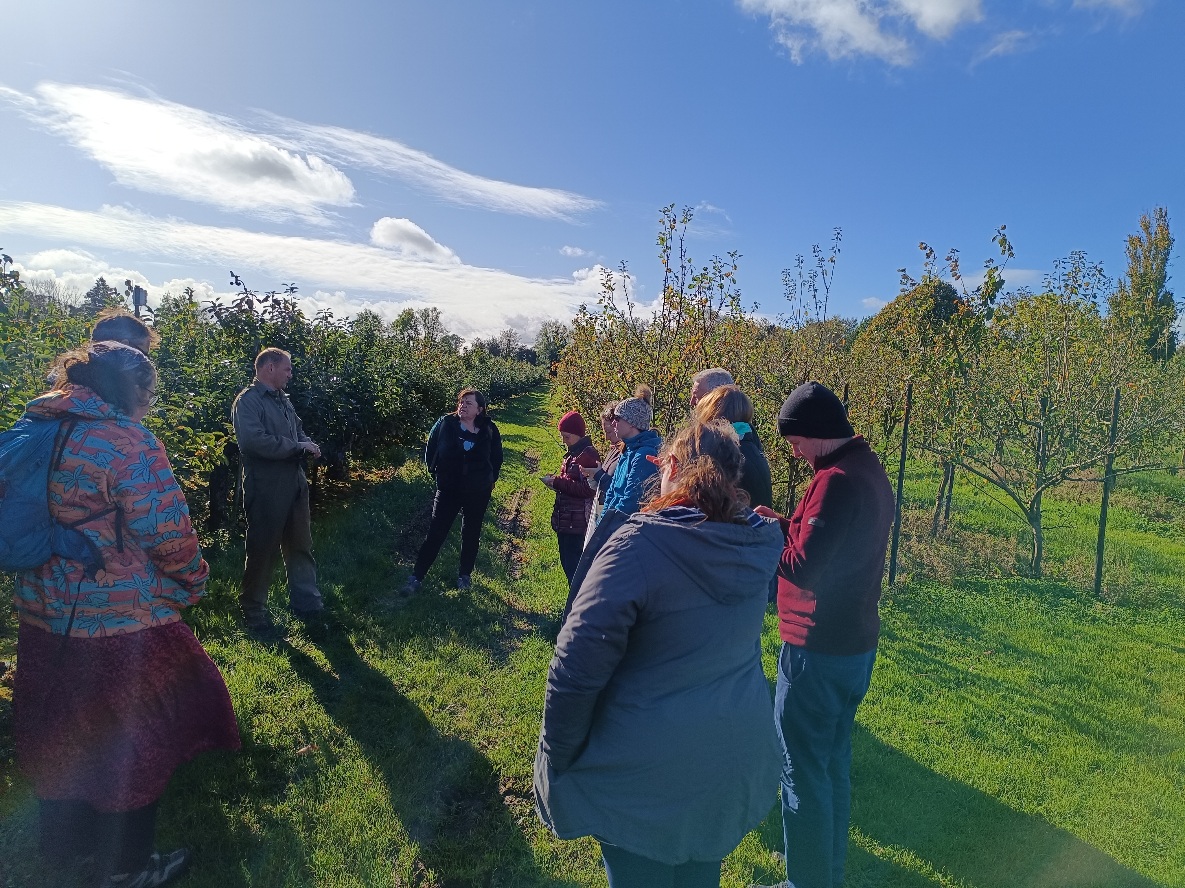 Study Circle participants in an apple orchard