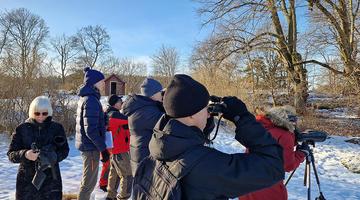 A group of people in the snow looking at something