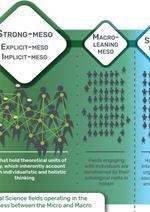 A visual table displaying different levels of MESO