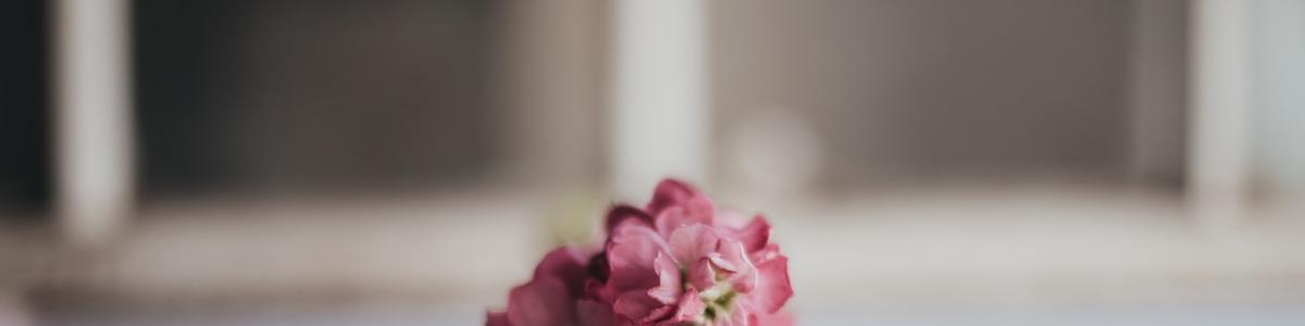 Pink flowers on book page