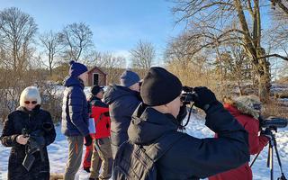 A group of people in the snow looking at something