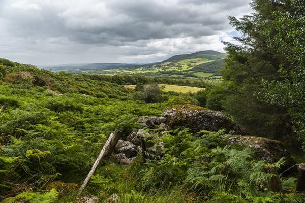 A beautiful scenery of a green valley