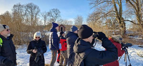 A group of people in the snow looking at something